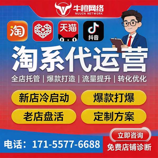 温岭电商代运营