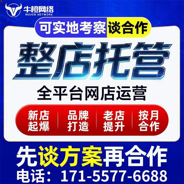 温岭电商代运营