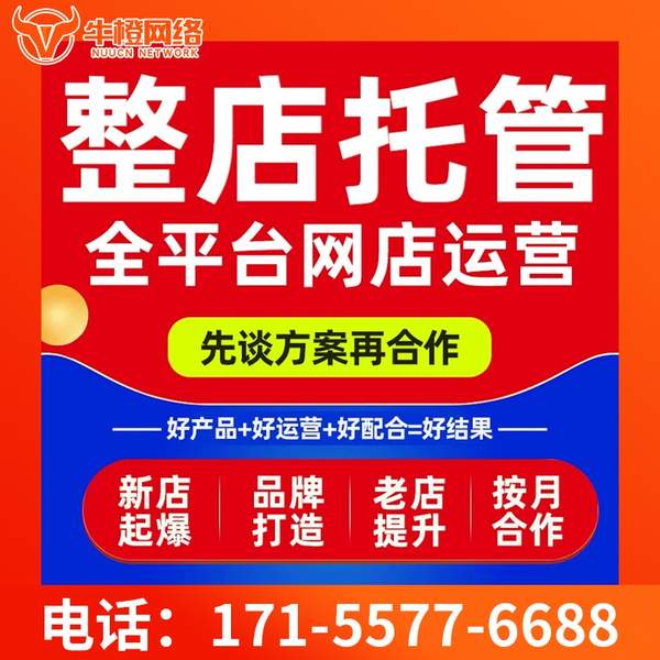 温岭电商代运营