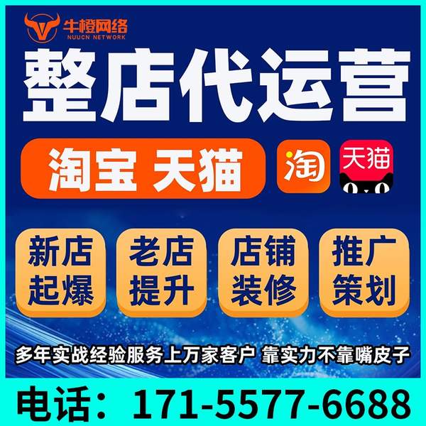 温岭电商代运营