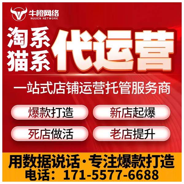 温岭电商代运营